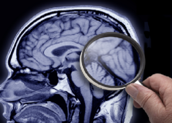 علماء بطرسبورج يبتكرون عقارا يحفظ الذاكرة