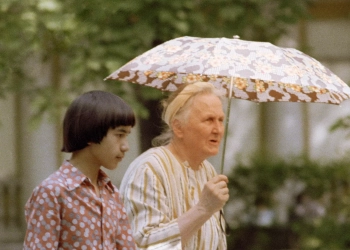 علماء في جامعة هارفارد الأمريكية يبتكرون جرعة مضادة للشيخوخة