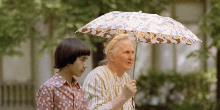 علماء في جامعة هارفارد الأمريكية يبتكرون جرعة مضادة للشيخوخة