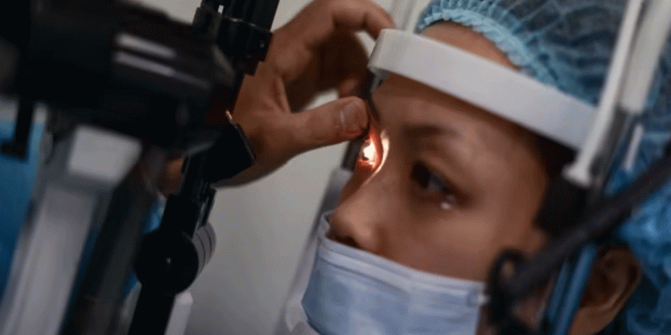 علماء من جامعة ويسكونسن-ماديسون الأمريكية يقتربون من إيجاد علاج فقدان البصر