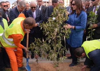 "حجازي" يشهد اصطفاف 45 سيارة تضم 130 ألف شجرة ضمن مبادرة رئاسية