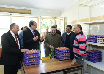 رئيس جامعة سوهاج يتابع طرح منتجات كلية الزراعة بمنفذ البيع بالمقر القديم