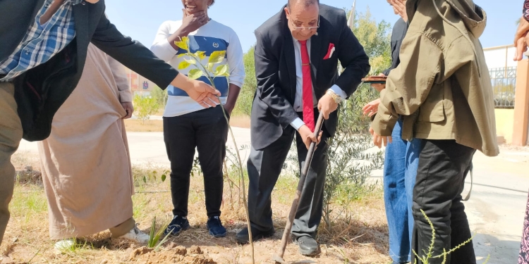 رئيس جامعة الأقصر: زراعة أشجار مثمرة داخل الحرم الجامعي للحفاظ على البيئة