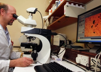 علماء روس يطورون علاجا لمرضى "التهاب الكبد ب"