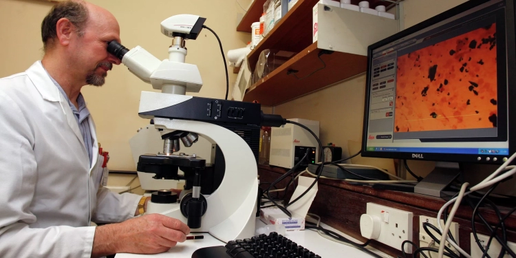 علماء روس يطورون علاجا لمرضى "التهاب الكبد ب"