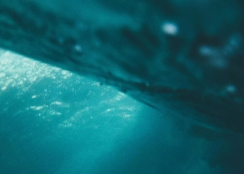 علماء جامعة أديلاند الإسترالية ينجحون في استخلاص وقود الهيدروجين من مياه البحر دون معالجة مسبقة