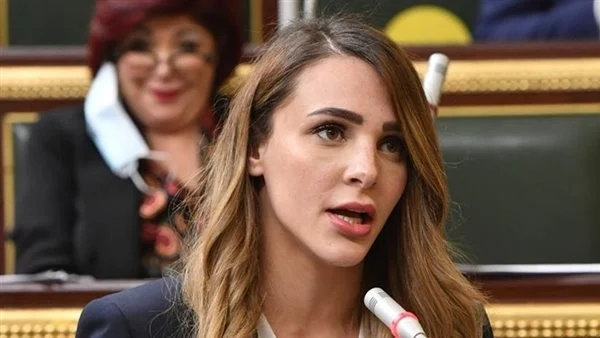 عضو مجلس نواب يتساءل عن دور التعليم العالي في دعم الباحثين