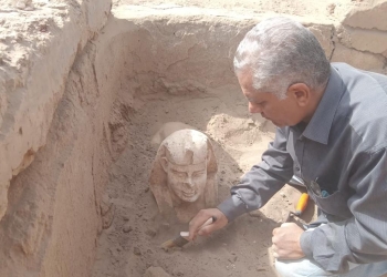 بعثة جامعة عين شمس تكتشف تمثال لأبو الهول مبتسماً وبقايا مقصورة كلاوديوس بجوار معبد دندرة