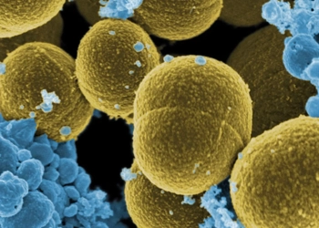 علماء من جامعة موناش الإسترالية يكتشفون إنزيما قادرا على تحويل الهواء إلى كهرباء