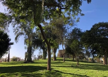 القناطر الخيرية تستعد لاستقبال الزوار للاحتفال بالأعياد