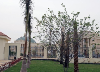 تنسيق 2023.. نظام القبول بجامعة القاهرة الدولية