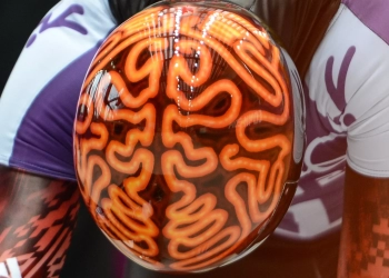 علماء من جامعة واشنطن يحددون مكان نقطة اتصال العقل بالجسم لدى الإنسان