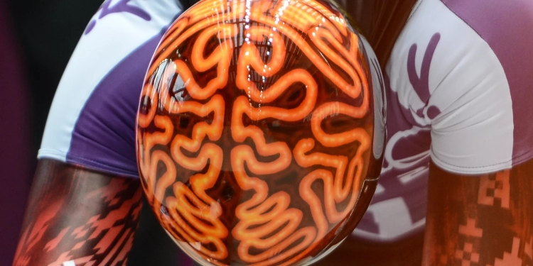 علماء من جامعة واشنطن يحددون مكان نقطة اتصال العقل بالجسم لدى الإنسان