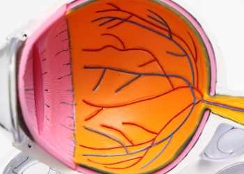 دراسة: اكتشاف مواد خطيرة قد تدخلها "العدسات اللاصقة" في العين إلى الأبد