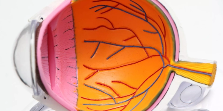 دراسة: اكتشاف مواد خطيرة قد تدخلها "العدسات اللاصقة" في العين إلى الأبد