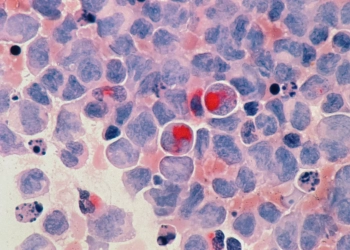 علماء يبتكرون نظاما اصطناعيا لتخثر الدم يسرع شفاء الجروح