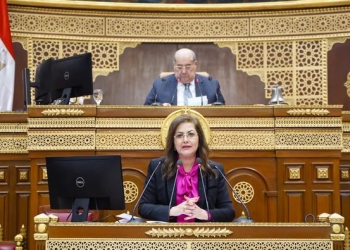 وزيرة التخطيط: نشاط البحث العلمي لا يقتصر على الاستثمارات الموجهة لوزارة التعليم العالي فقط