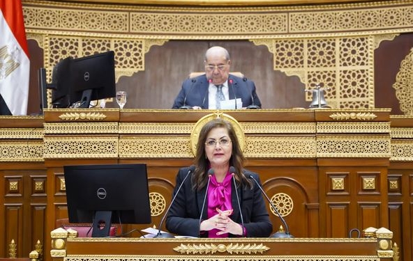 وزيرة التخطيط: نشاط البحث العلمي لا يقتصر على الاستثمارات الموجهة لوزارة التعليم العالي فقط