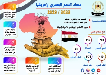 12781 منحة مصرية لدول القارة الإفريقية خلال العام الدراسي الحالي