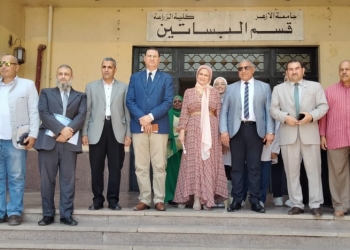 نائب رئيس جامعة الأزهر يشيد بالدورات التدريبية لرفع الوعي خلال الإجازة الصيفية