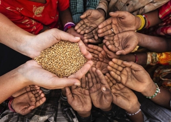 الابتزاز وإرهاب الحبوب الروسي حول قتل روسيا لمبادرة الحبوب في البحر الأسود