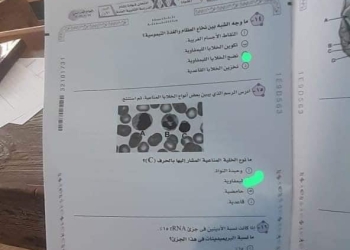 على طريقة طالبة الإنجليزي.. "غشاش غبي" ينشر صور امتحان الأحياء بباركود اللجنة والبيانات الشخصية والتعليم تعلق