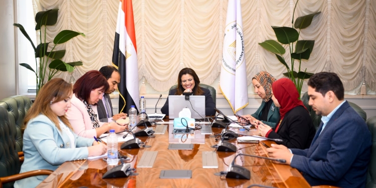 وزيرة الهجرة اثناء لقاءها الافتراضى مع المصريين بالخارج