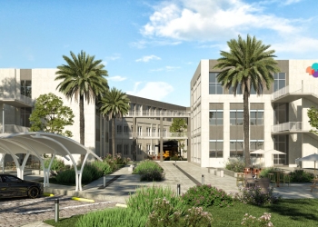 جامعة السويدى