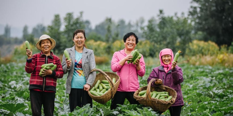 الصين الجميلة وبناء حضارة إيكولوجية