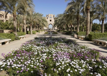 الجامعة الأمريكية بالقاهرة تطلق تخصصات دراسية جديدة