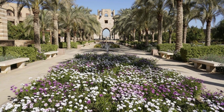 الجامعة الأمريكية بالقاهرة تطلق تخصصات دراسية جديدة