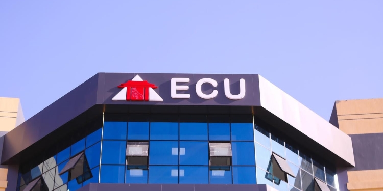 فتح باب التقديم للالتحاق بكليات الطب البيطري والفنون والحاسبات بالجامعة المصرية الصينية