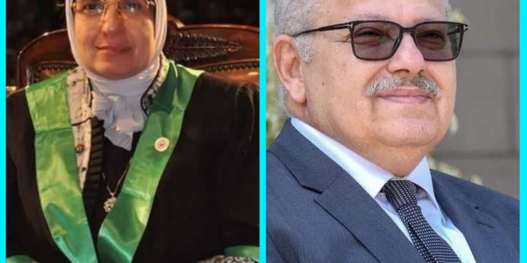 رئيس جامعة القاهرة والقائم بعمل عميد ةكلية الاقتصاد