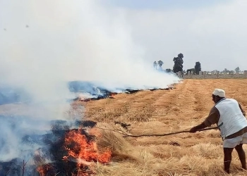 الجيزة ومواجهة السحابة السودراء