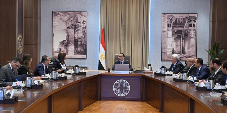  الوزراء يناقش تأسيس شركة لصندوق مصر السيادي لاستضافة أفرع جامعات أجنبية