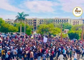 لليوم الثاني.. انتفاضة في حرم الجامعات دعمًا للقضية الفلسطينية