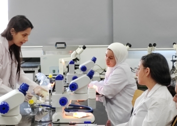 بحث علمي جديد بصيدلة الألمانية يثبت بذور نبات الشيا سلاح غذائى متميز لجسم الانسان