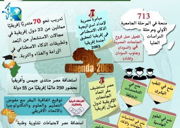 منح تعليمية وفروع للجامعات وشراكات بحثية.. حصاد الدعم المصري لأكثر من 27 دولة إفريقية
