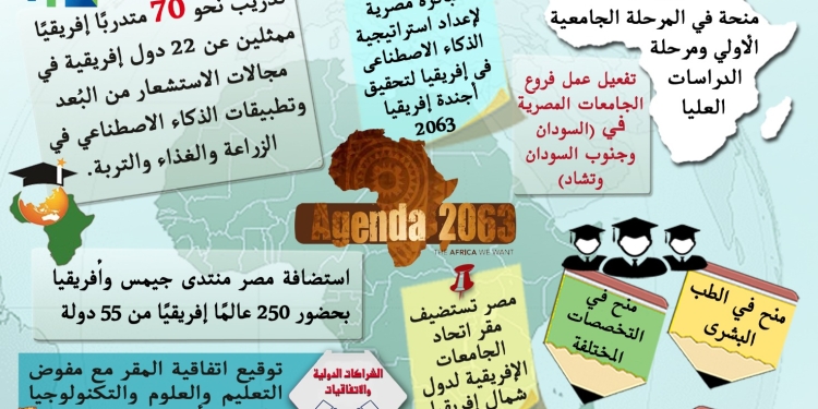 منح تعليمية وفروع للجامعات وشراكات بحثية.. حصاد الدعم المصري لأكثر من 27 دولة إفريقية