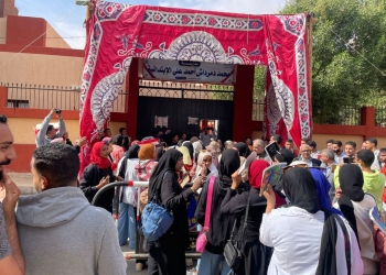 قيادات وعاملين جامعة أسوان يشاركوا في الإنتخابات الرئاسية