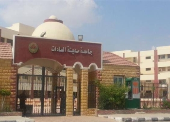 حقوق السادات تكشف تفاصيل صفع استاذ لطالب