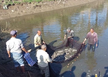 نائب رئيس جامعة بنها: دعم الوحدات والمزارع الإنتاجية لتغطية احتياجات المجتمع