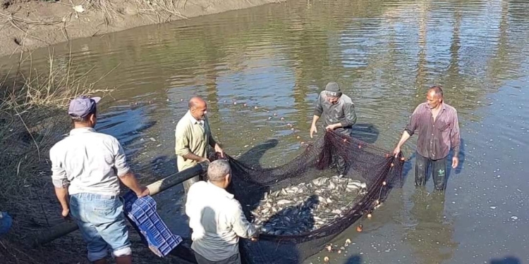 نائب رئيس جامعة بنها: دعم الوحدات والمزارع الإنتاجية لتغطية احتياجات المجتمع