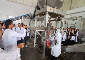 الجامعات التكنولوجية خلال 2023.. بروتوكولات تعاون مع مؤسسات دولية ومحلية و تدريب عملي