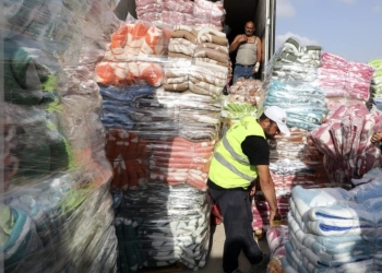 الاتحاد العام للمصريين في الخارج يشارك في قوافل دعم أبناء غزه