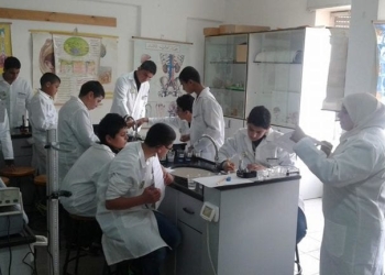 صندوق رعاية المبتكرين