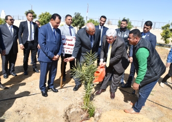 وزير التعليم العالي يغرس نخلة في حديقة 30 يونيو بالوادي الجديد