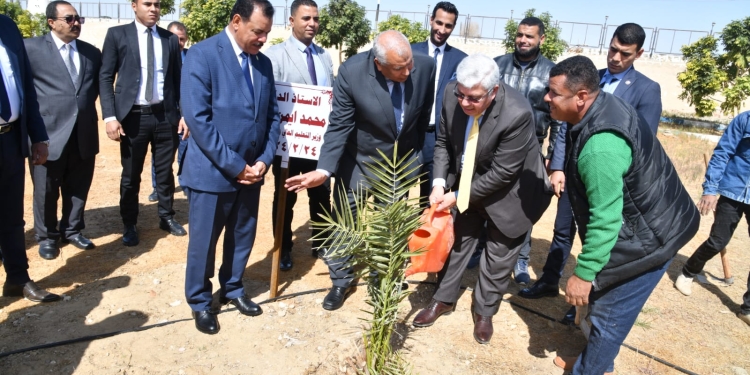وزير التعليم العالي يغرس نخلة في حديقة 30 يونيو بالوادي الجديد