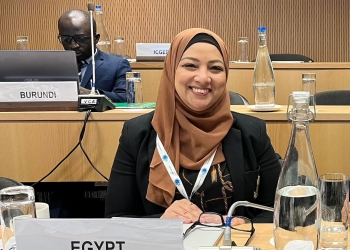 انتخاب جينا الفقي نائب رئيس لجنة البحث بمجلس المعهد الدولي لتطبيقات تحليل النظم