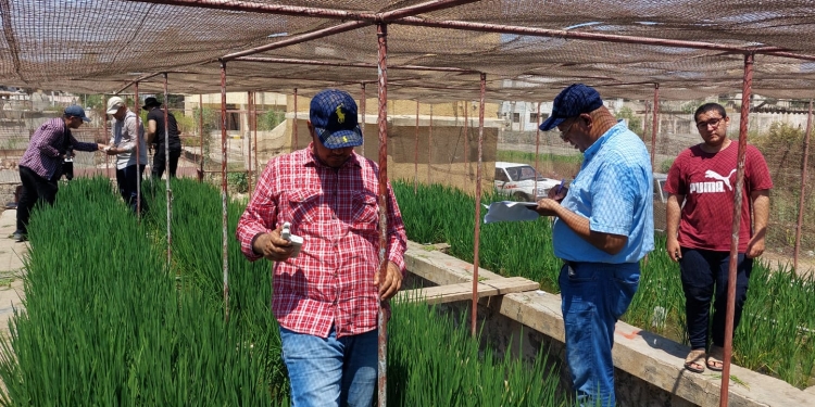 هيئة الاستشعار من البُعد تدعم استخدام الزراعة الذكية لتحسين جودة المحاصيل الزراعية